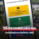 ddpm ตรวจสอบสถานะ 2567